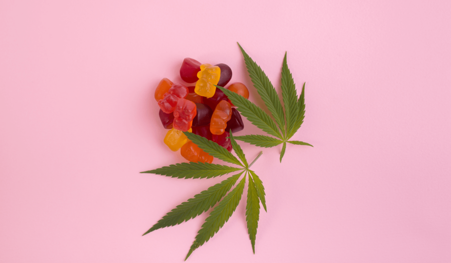 cbd gummibärchen