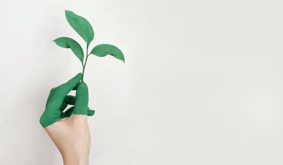 halb grüne Hand mit Blättern