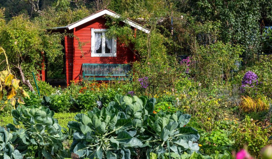 Garten