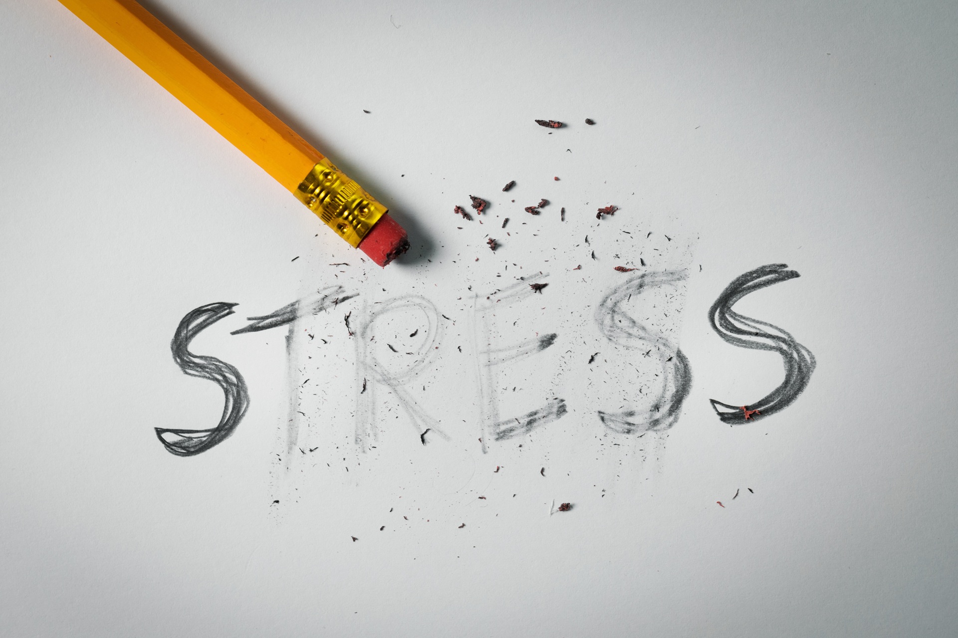 Stress wird symbolisch ausradiert | Gelee Royal kaufen