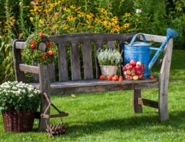 Gießkanne und Apfelkorb auf Bank | Gartendeko